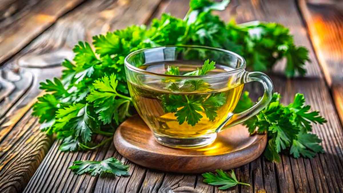 take parsley tea daily for these benefits 