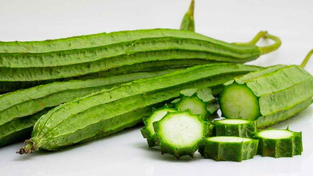 many wonderful health benefits of ridge gourd 