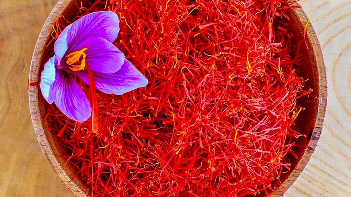 will taking saffron babies will born beautiful 