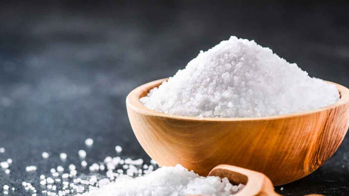 you can earn good income by selling salt 