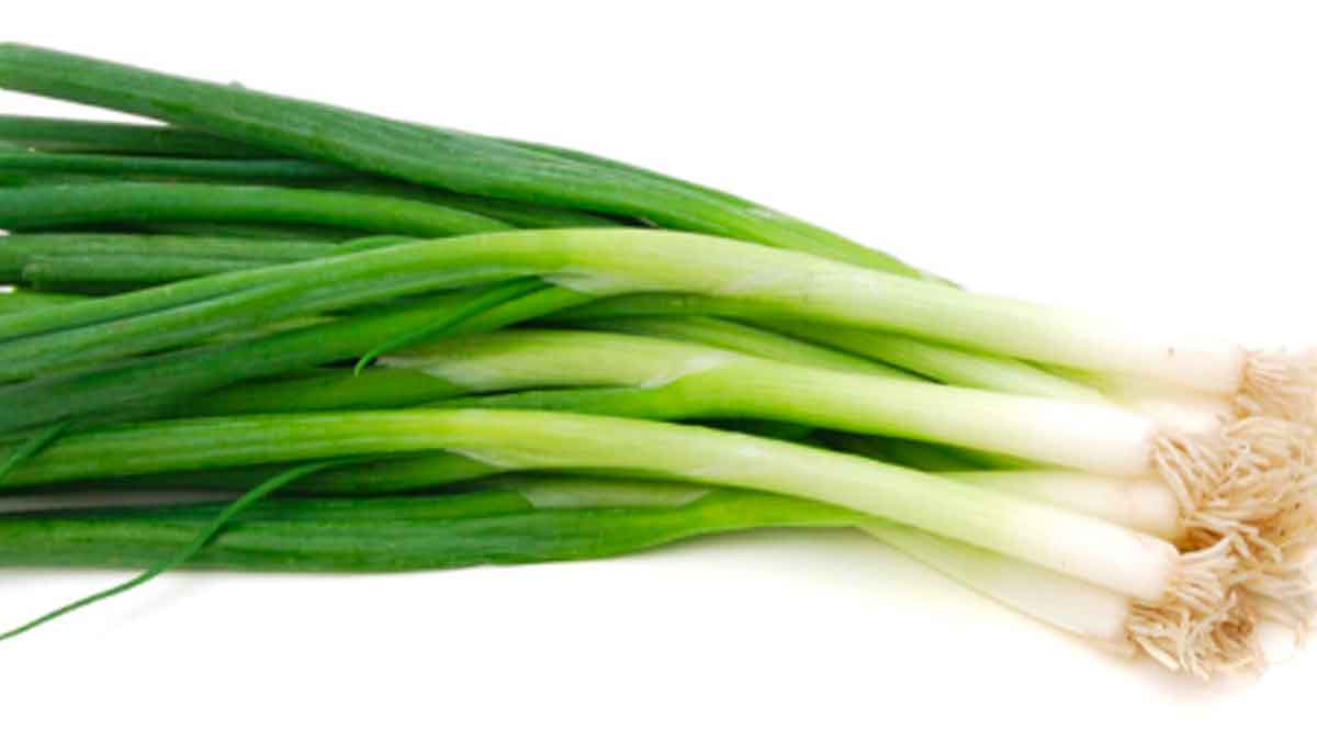 many wonderful health benefits of spring onions how to use them