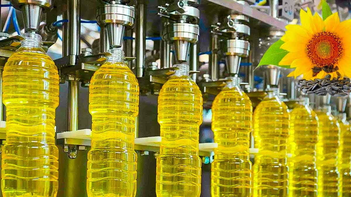 you can earn good income with sun flower oil making 