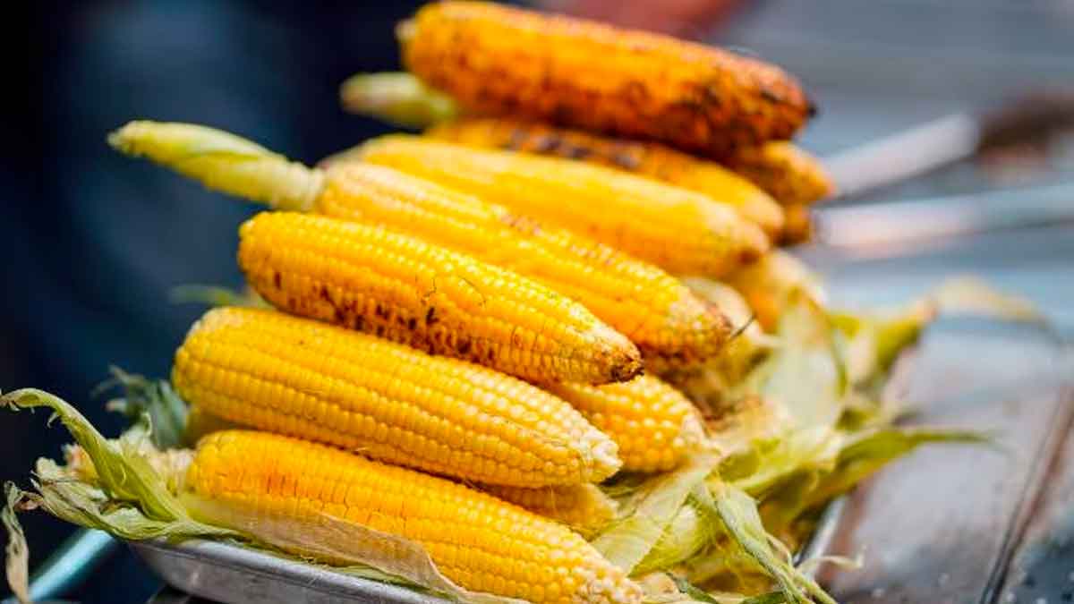 sweet corn vs indian corn which one is better 