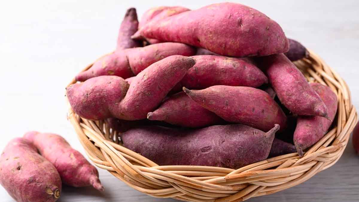 health benefits of eating potato in winter 