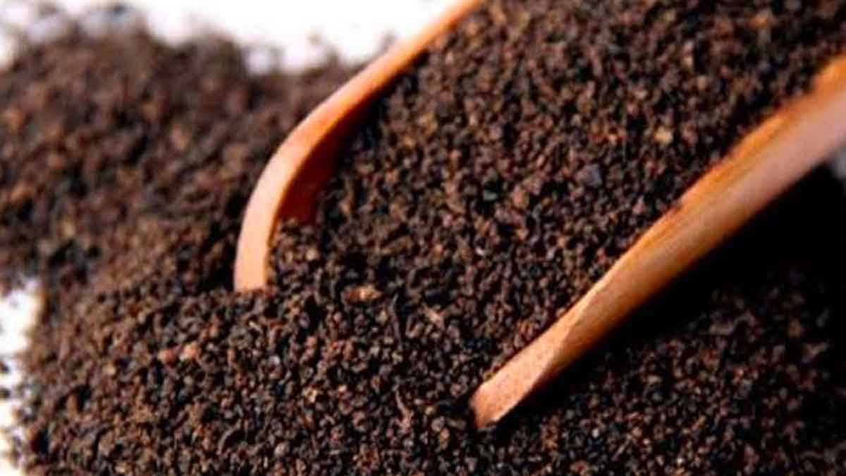 how to identify adulterated tea powder