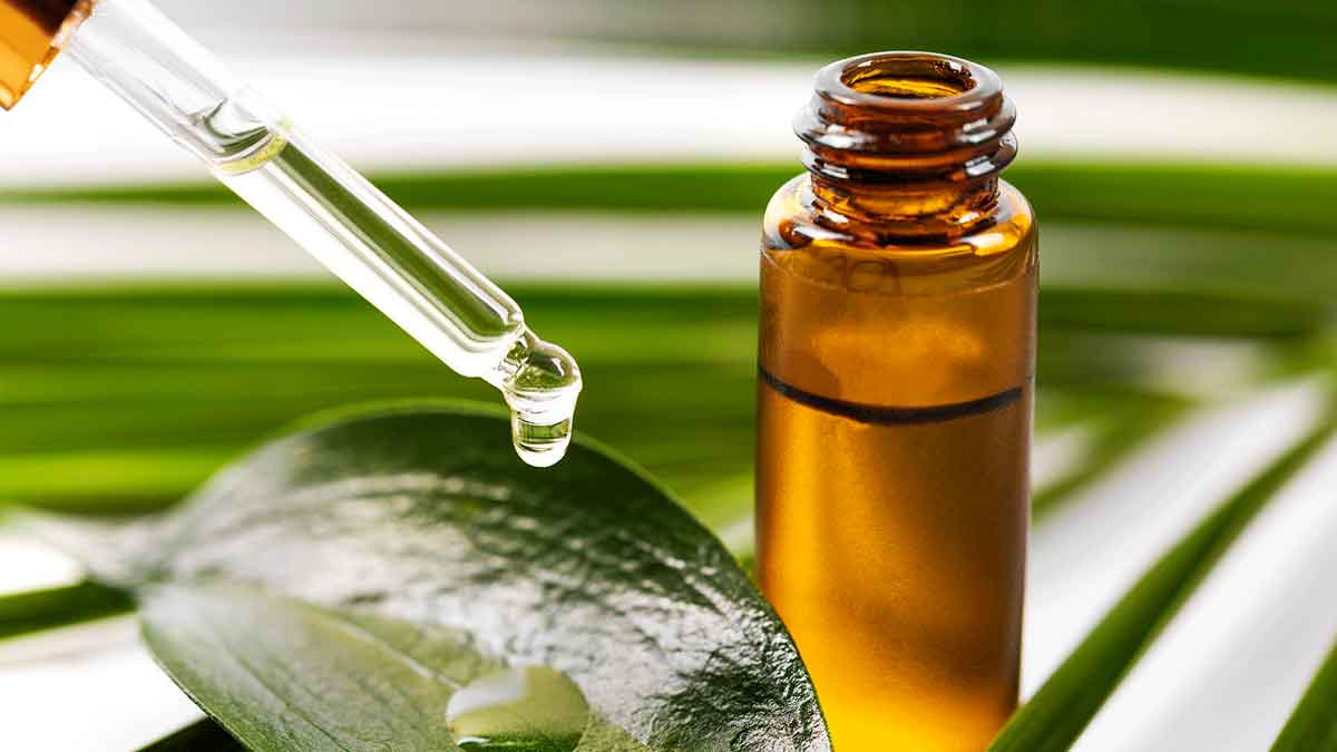 many wonderful health benefits of tea tree oil