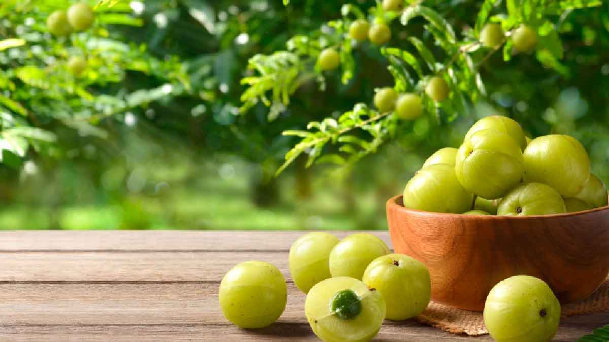 many wonderful health benefits of taking amla on empty stomach 