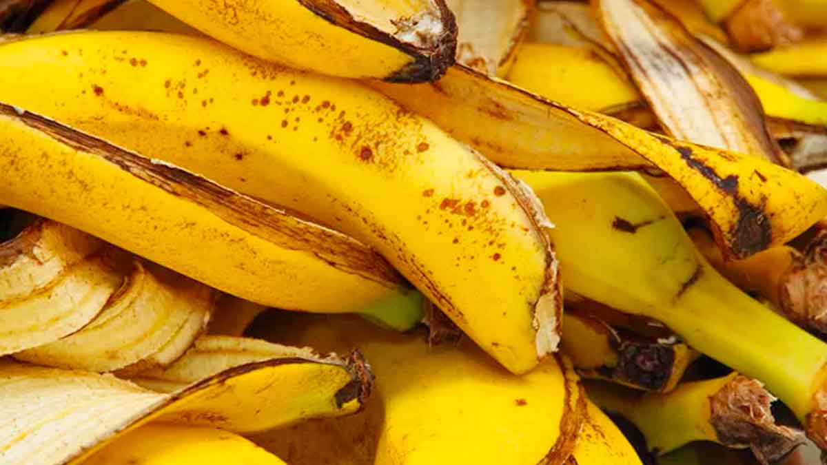 many wonderful health benefits of banana peels 