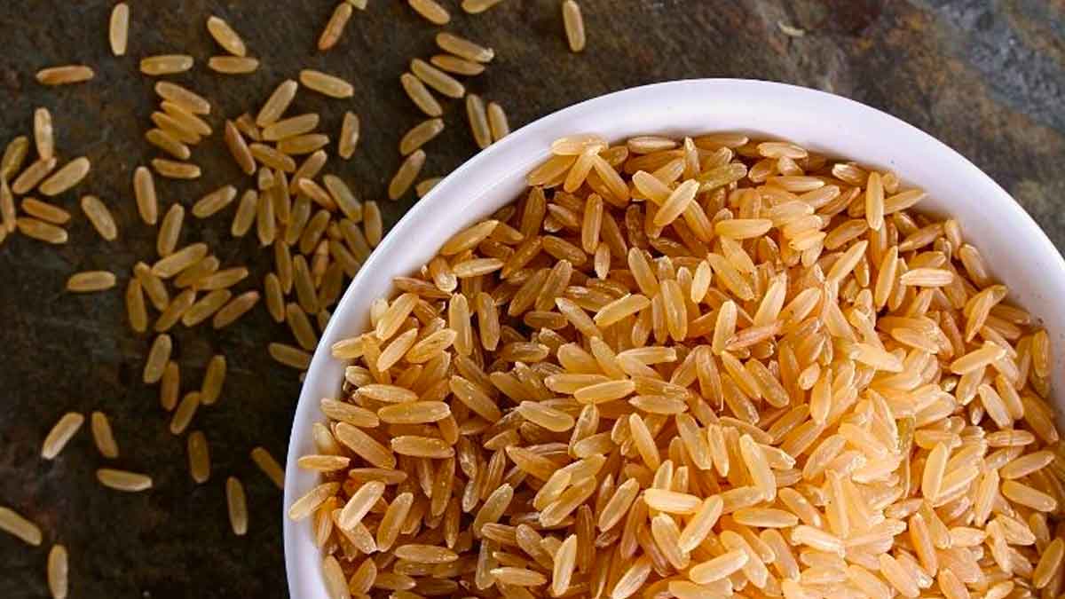 if you want to lose weight take brown rice 