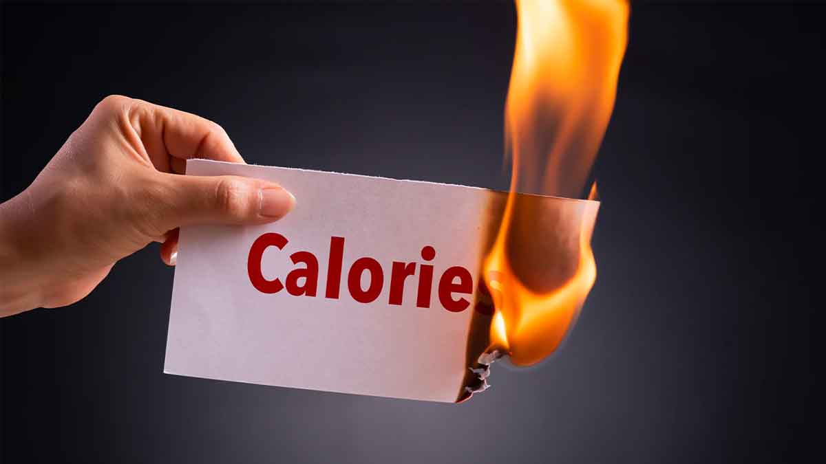 do you know how many calories we burn per day 