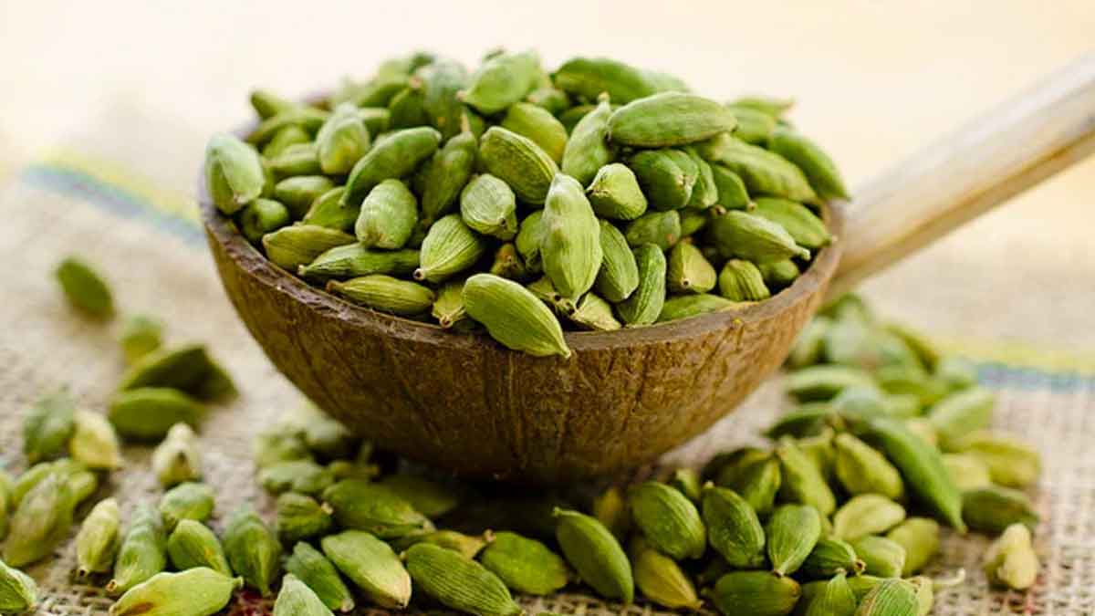 why people chew cardamom while sleeping 