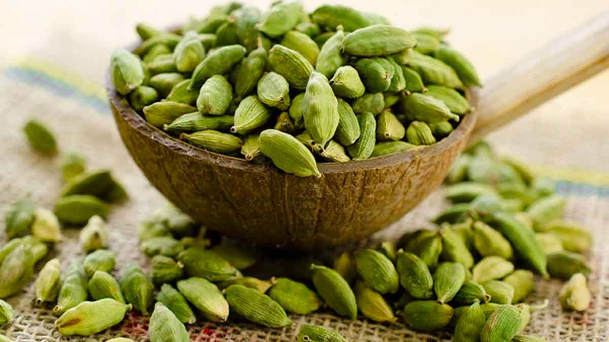 eating cardamom daily can improve your sexual stamina 