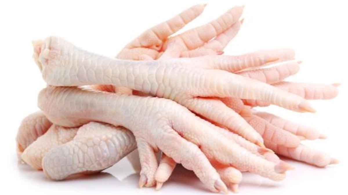 why egypt government is asking to eat chicken feet 