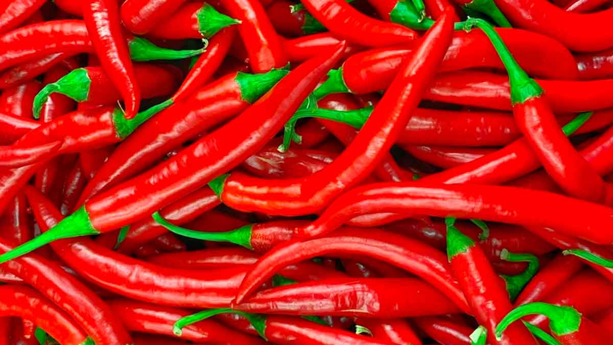 taking chilli regularly will reduce your heart attack chance 