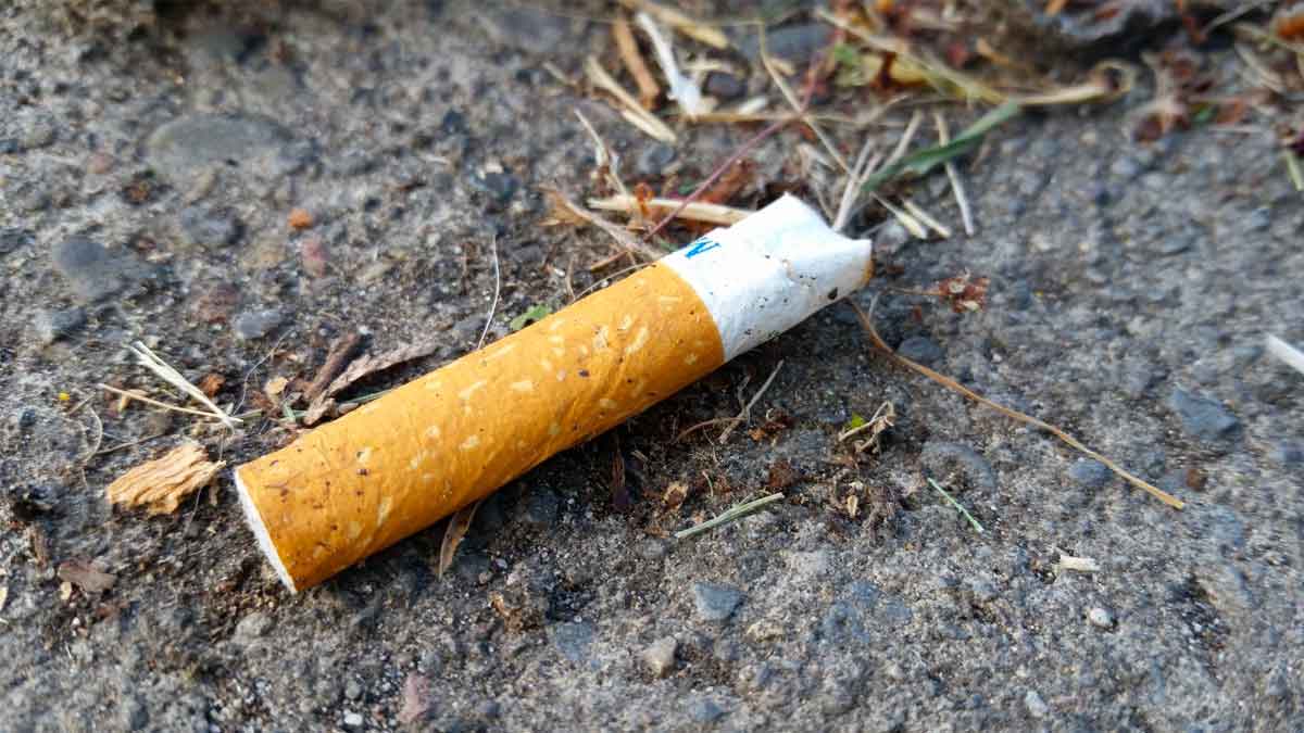 do you know that cigarette butts are also very healthy 