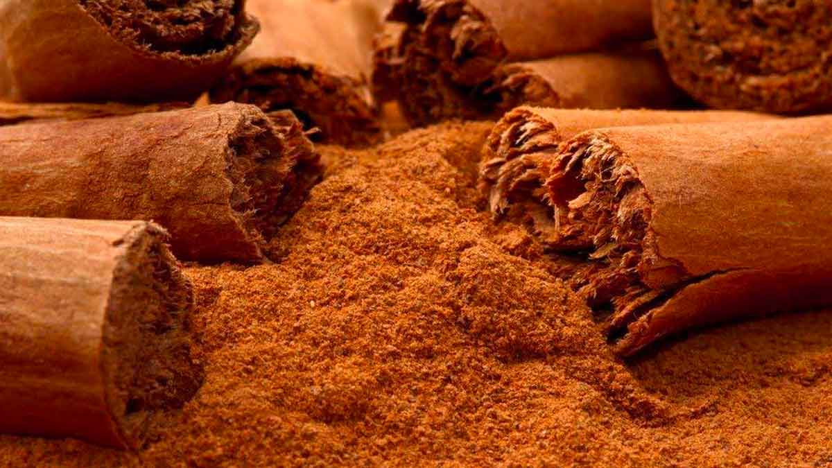 take cinnamon powder daily in the morning for these benefits 