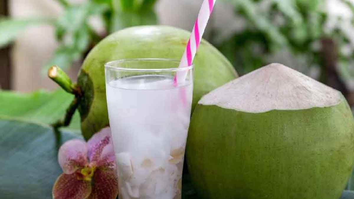 these people should not take coconut water know why 