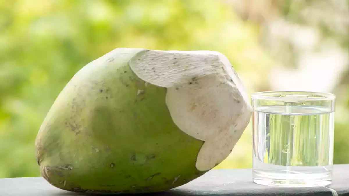 drinking coconut water excessively is not healthy 