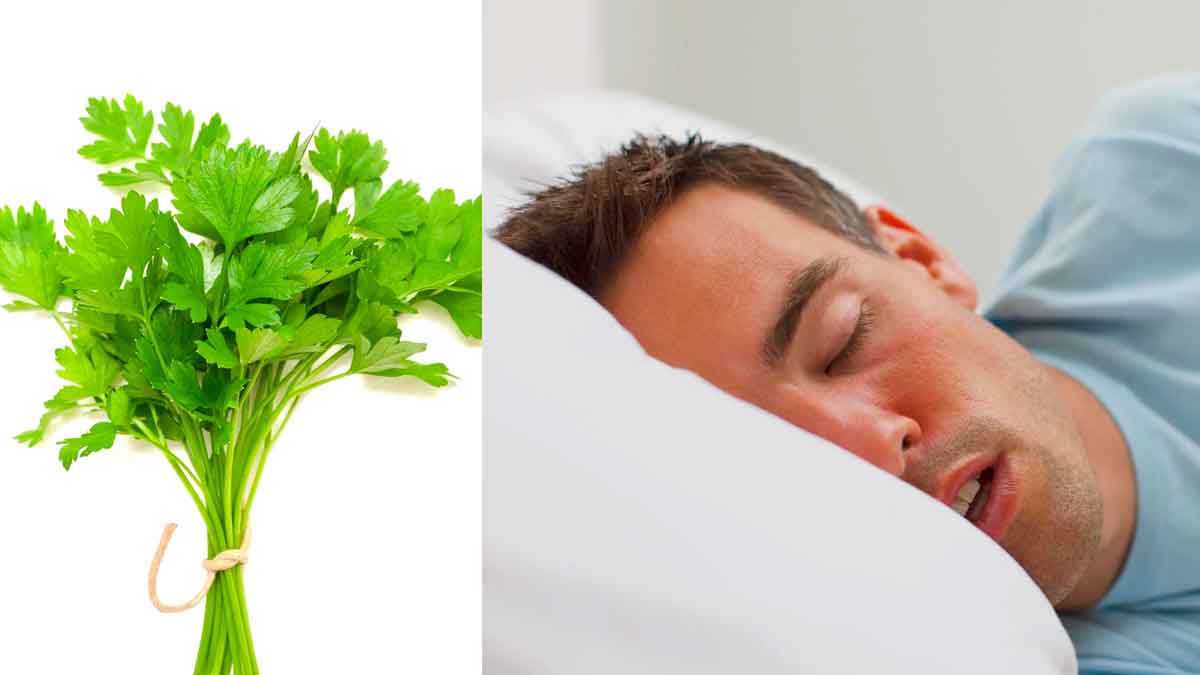 use coriander leaves in this way for good night sleep 