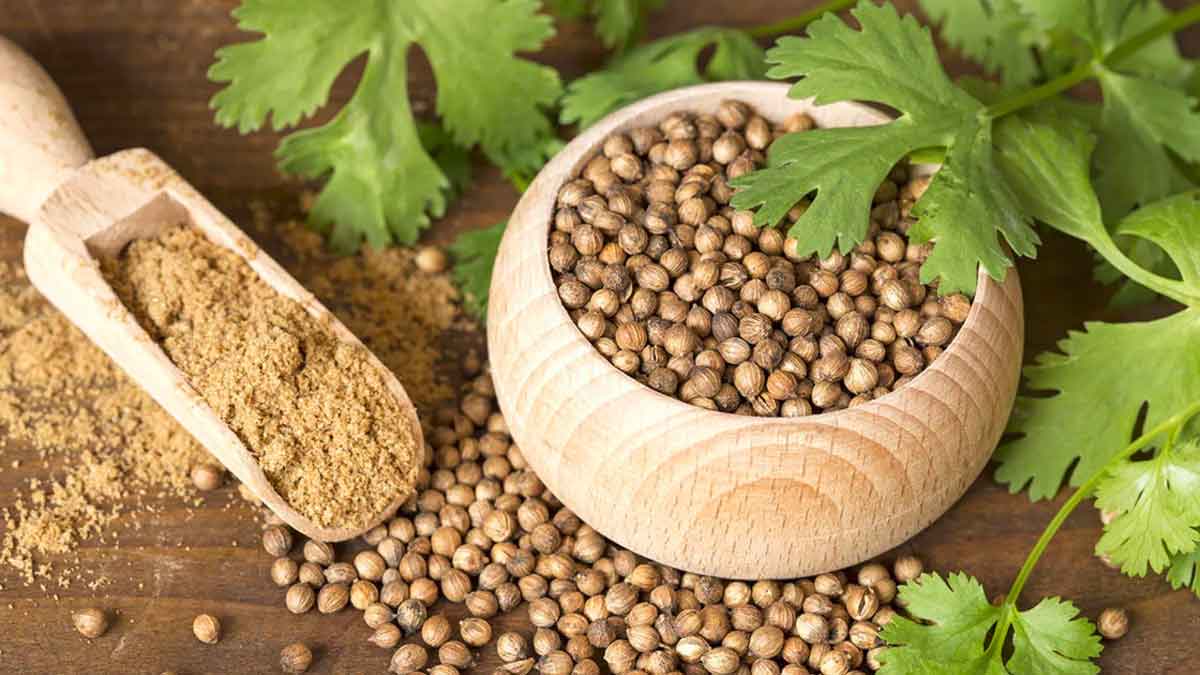 coriander seeds can increase sexual stamina 