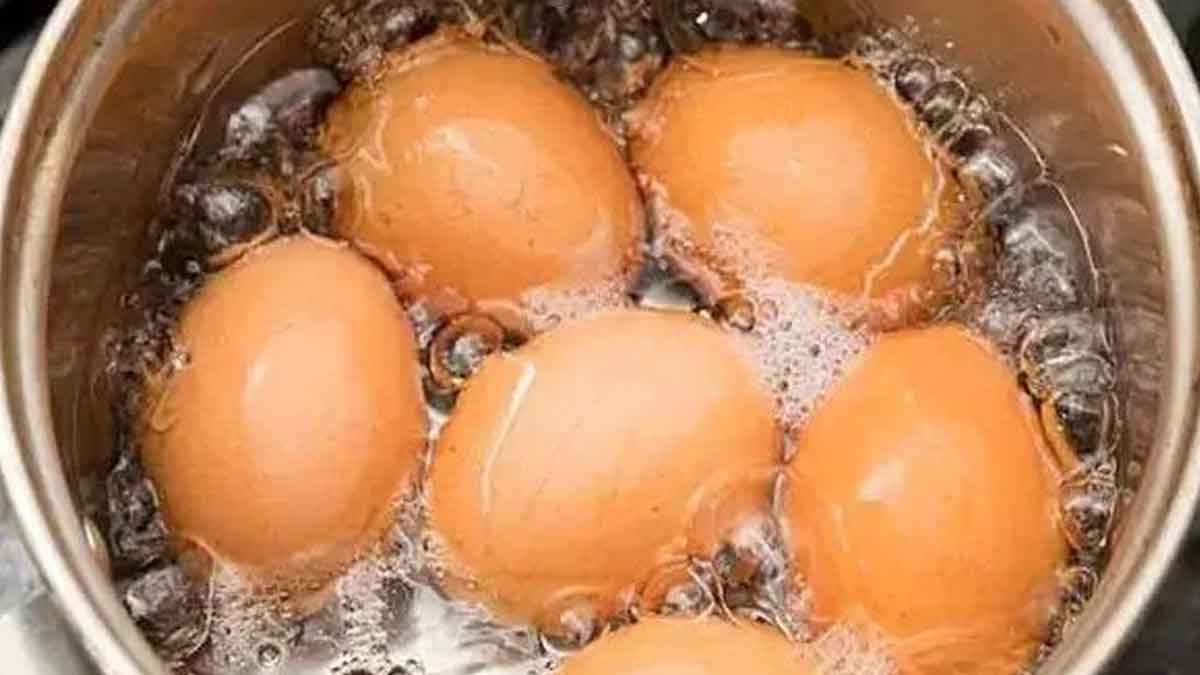 do not throw away egg boiled water 