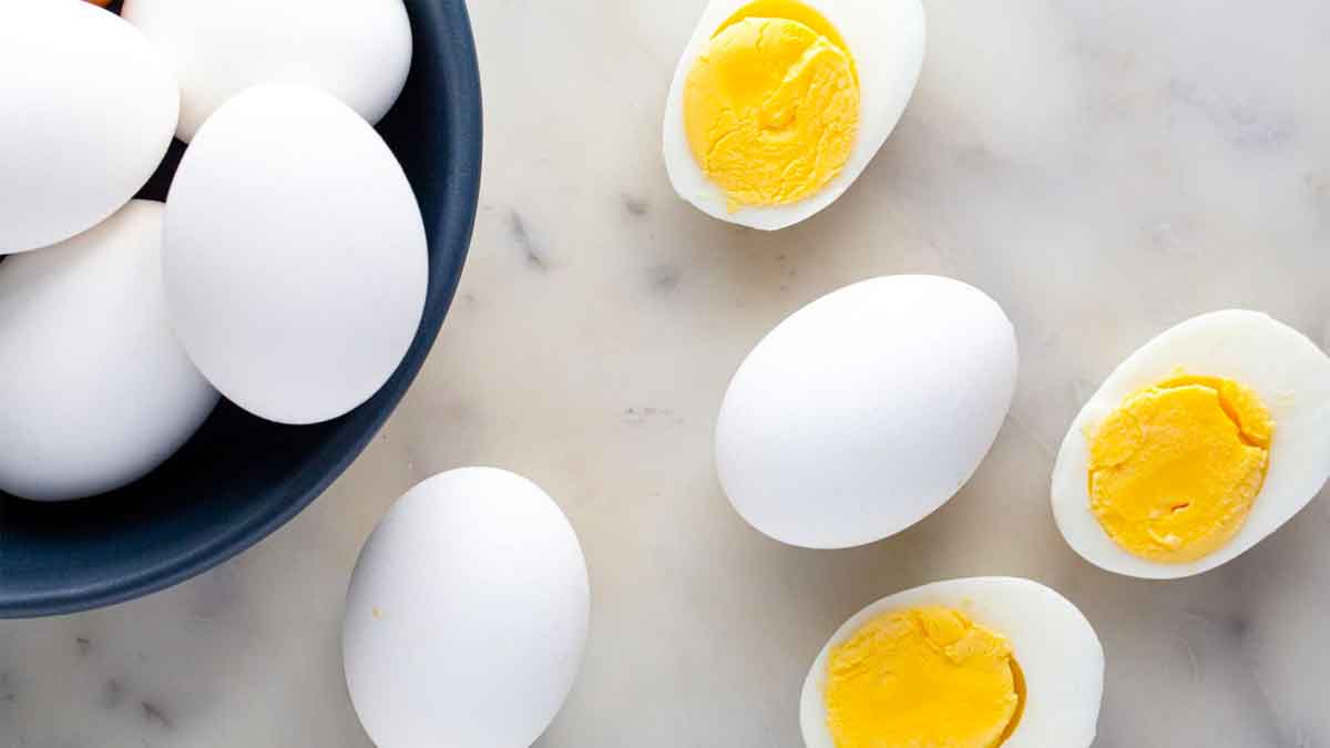 is taking an egg daily increases fat 