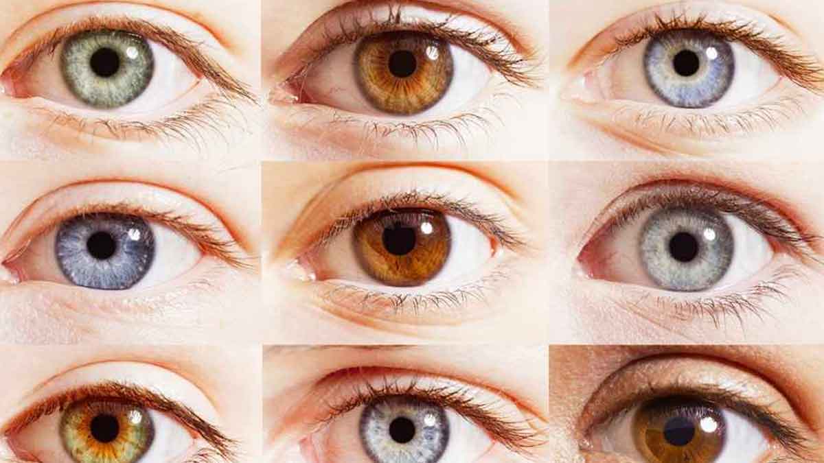 you can tell which type of diseases you have by looking at your eyes 