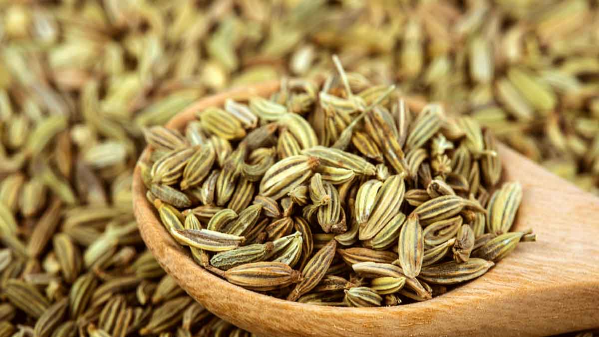 take fennel seeds daily 2 times after taking meals 