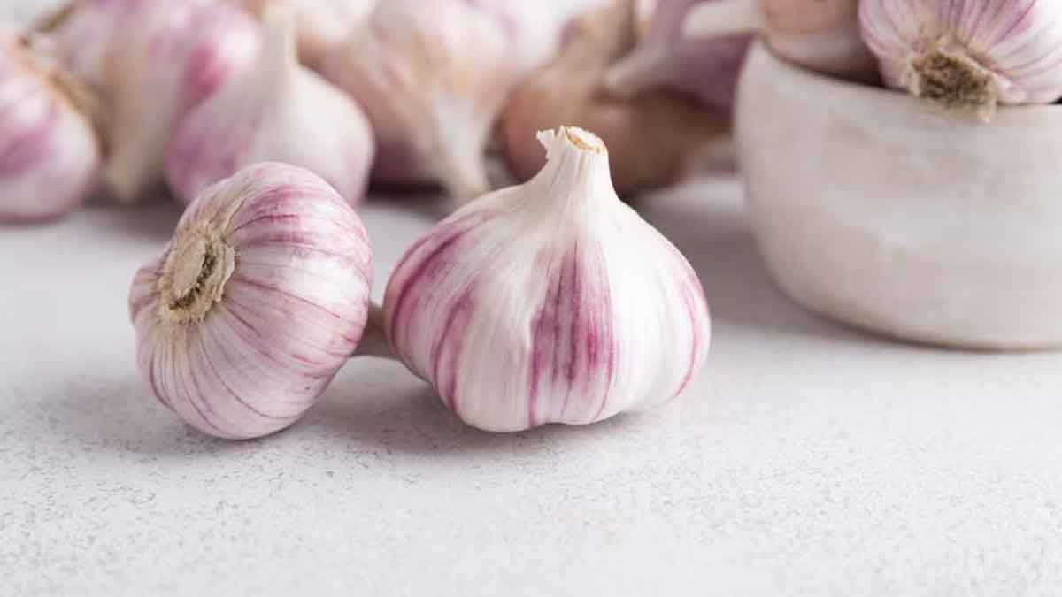 99 percent people do not know how to take garlic daily 