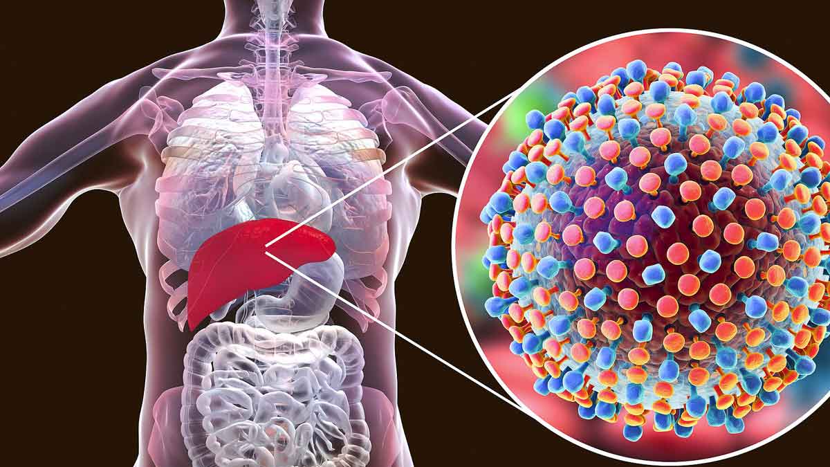 important facts to know about hepatitis 