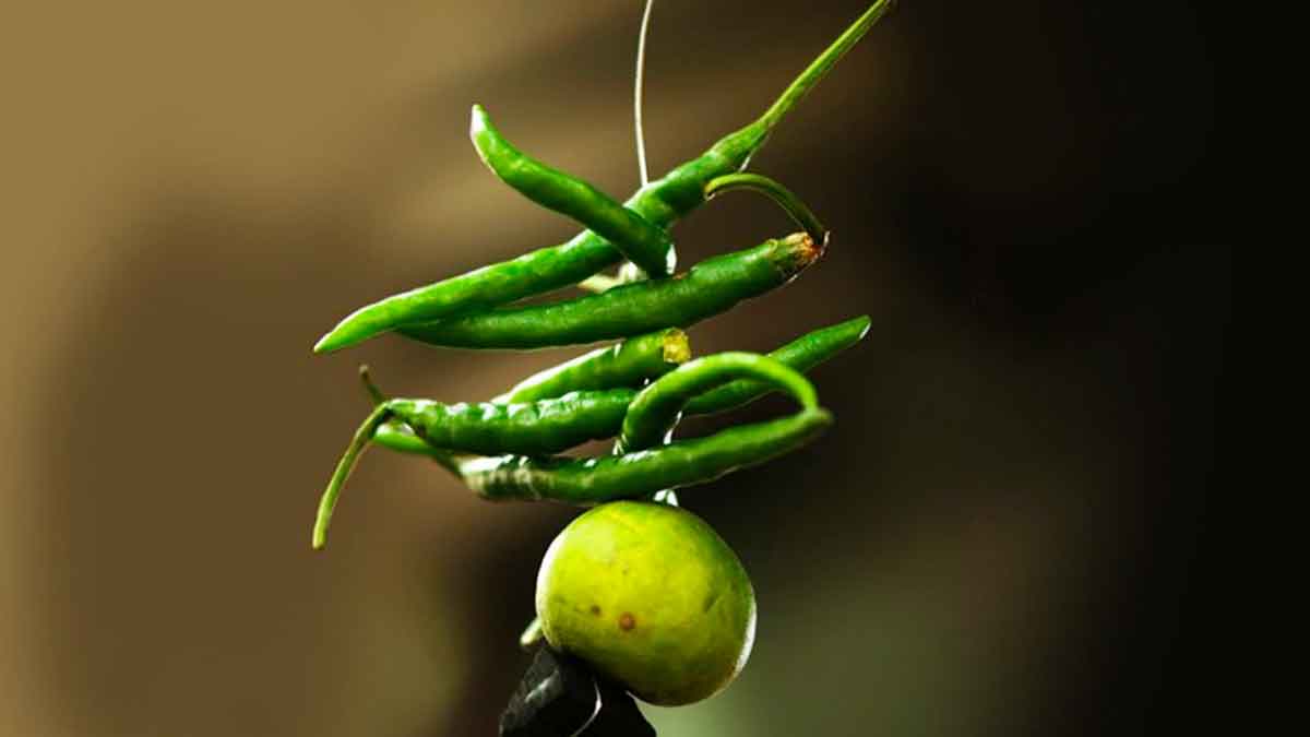 lemon and mirchi garland to vehicles 