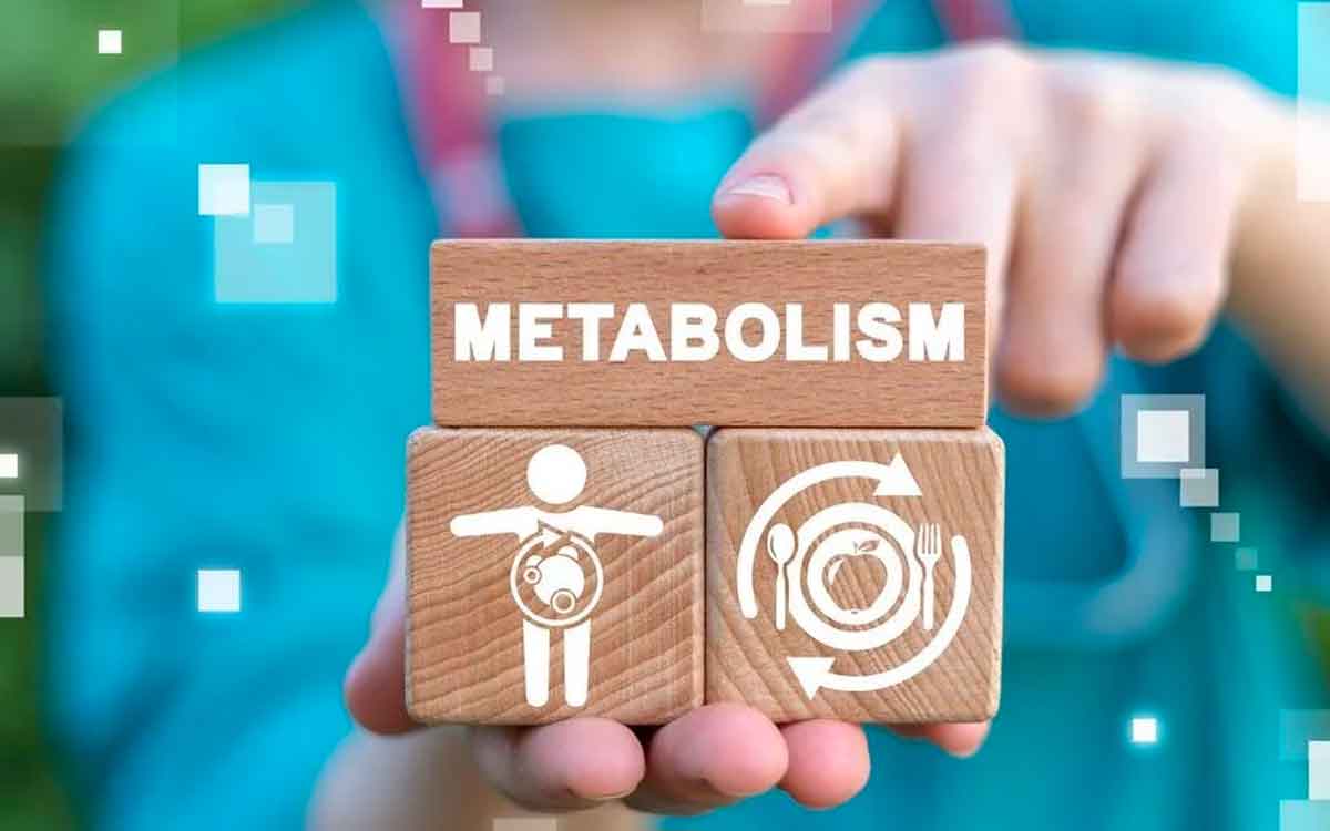 follow these tips to increase metabolism 