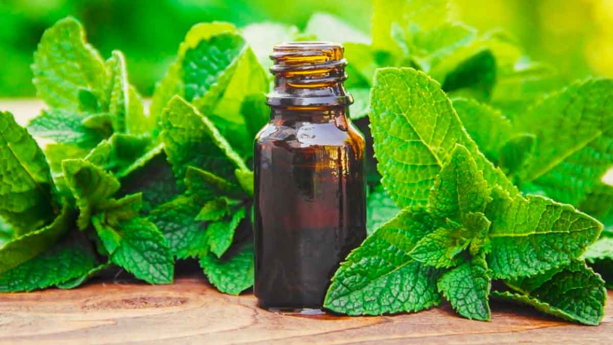 home remedies using mint leaves 