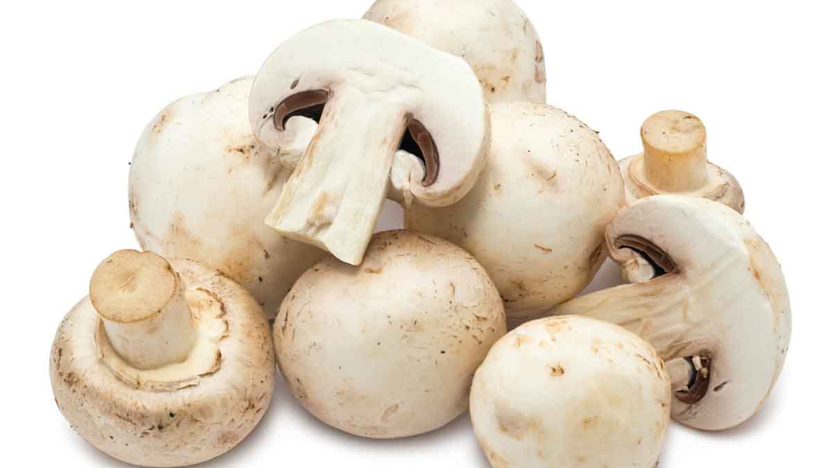 here it is how mushrooms help us maintaining health 