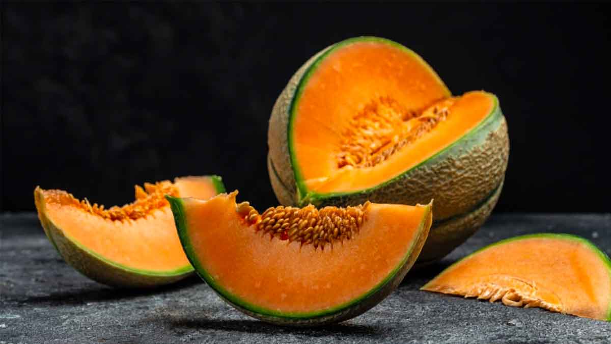 we must take musk melon for these health benefits 