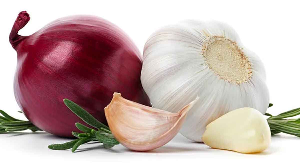 why no onion and garlic not used in hindu pooja 