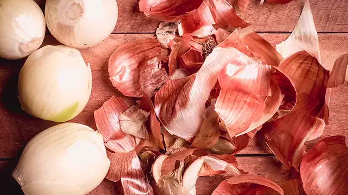 many wonderful health benefits of onion peels 