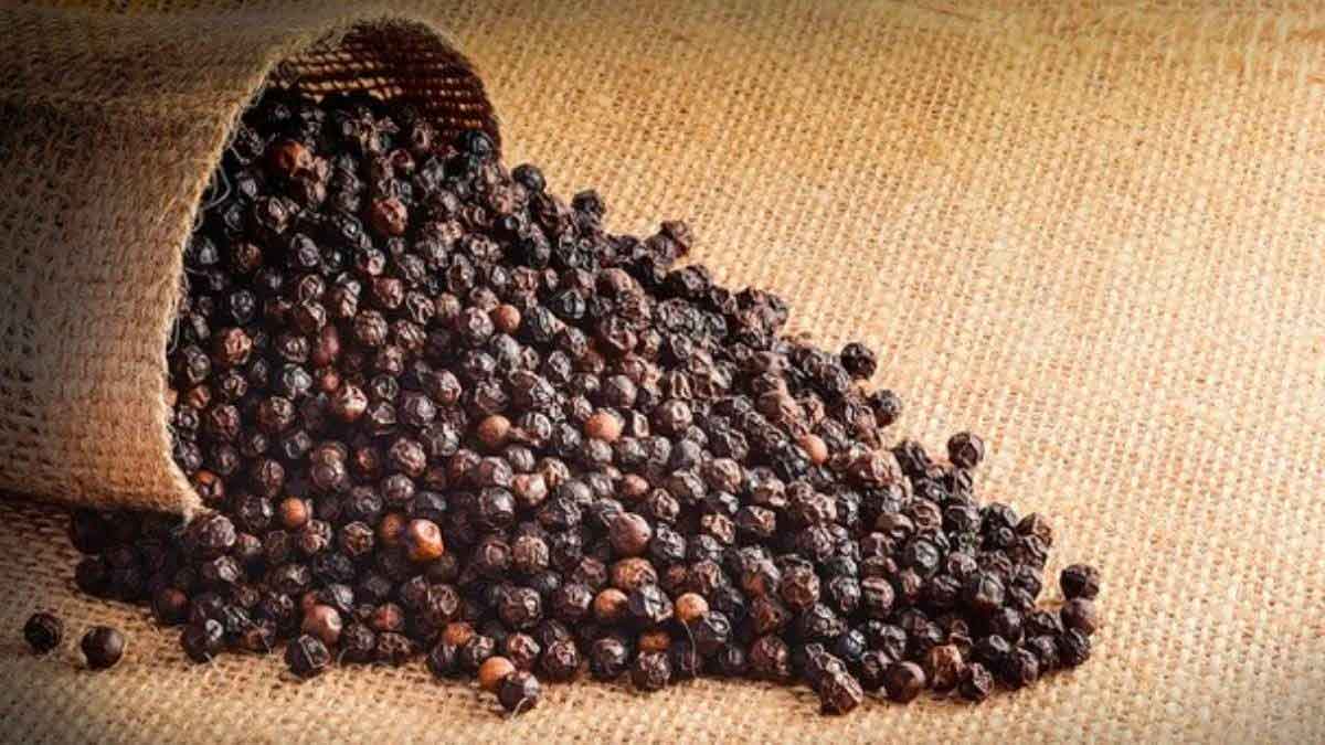 take pepper in this way to reduce cold and cough quickly 