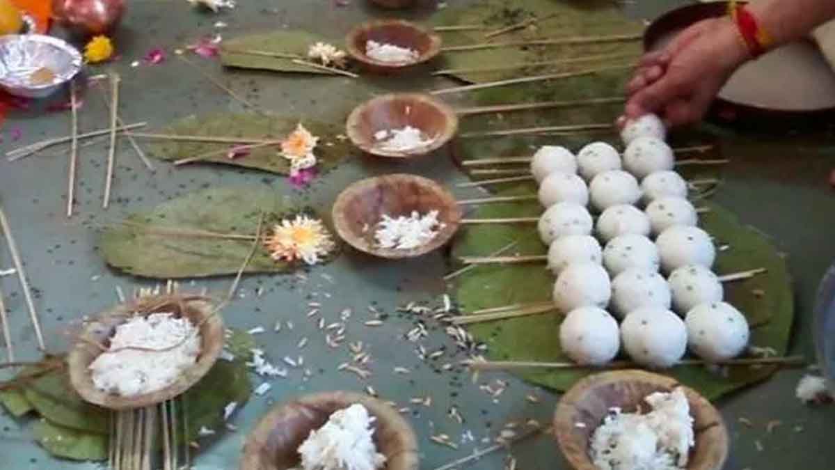 what happens if peepal tree grows on home 