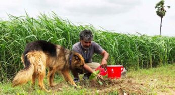 100 ఎకరాల్లో ఫామ్ హౌస్.. రాజమౌళికి ఈ ఊరంటే చాలా స్పెషల్..