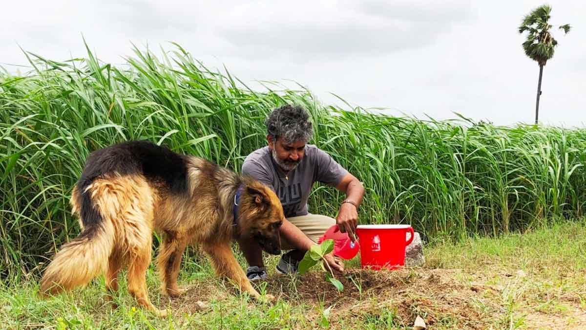 rajamouli farm house important facts to know 