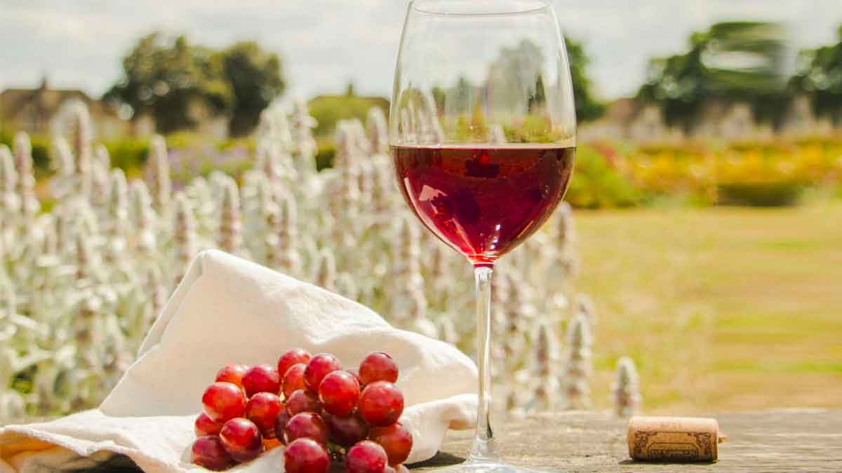 take red wine regularly if you want to be young forever 