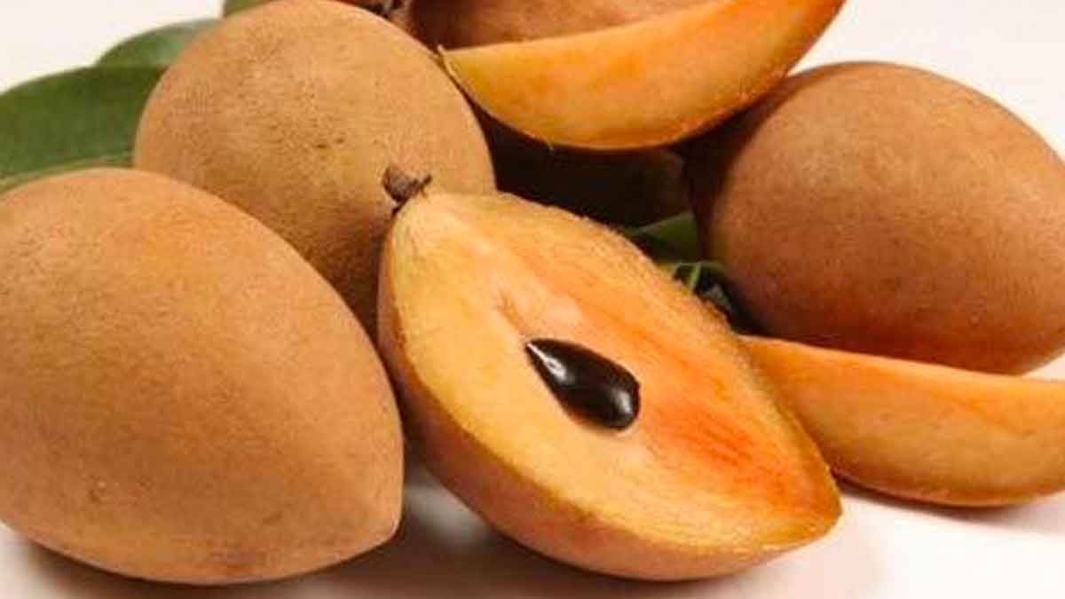 many wonderful health benefits of taking sapota 