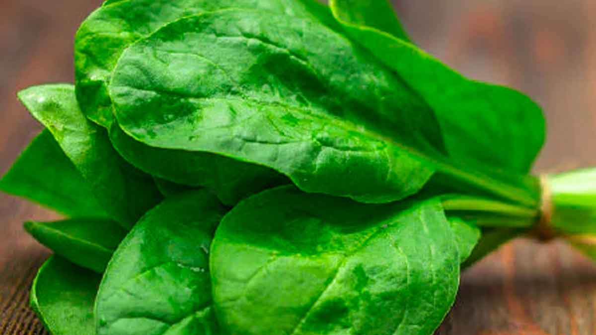 do you know taking spinach helps cure cancer 