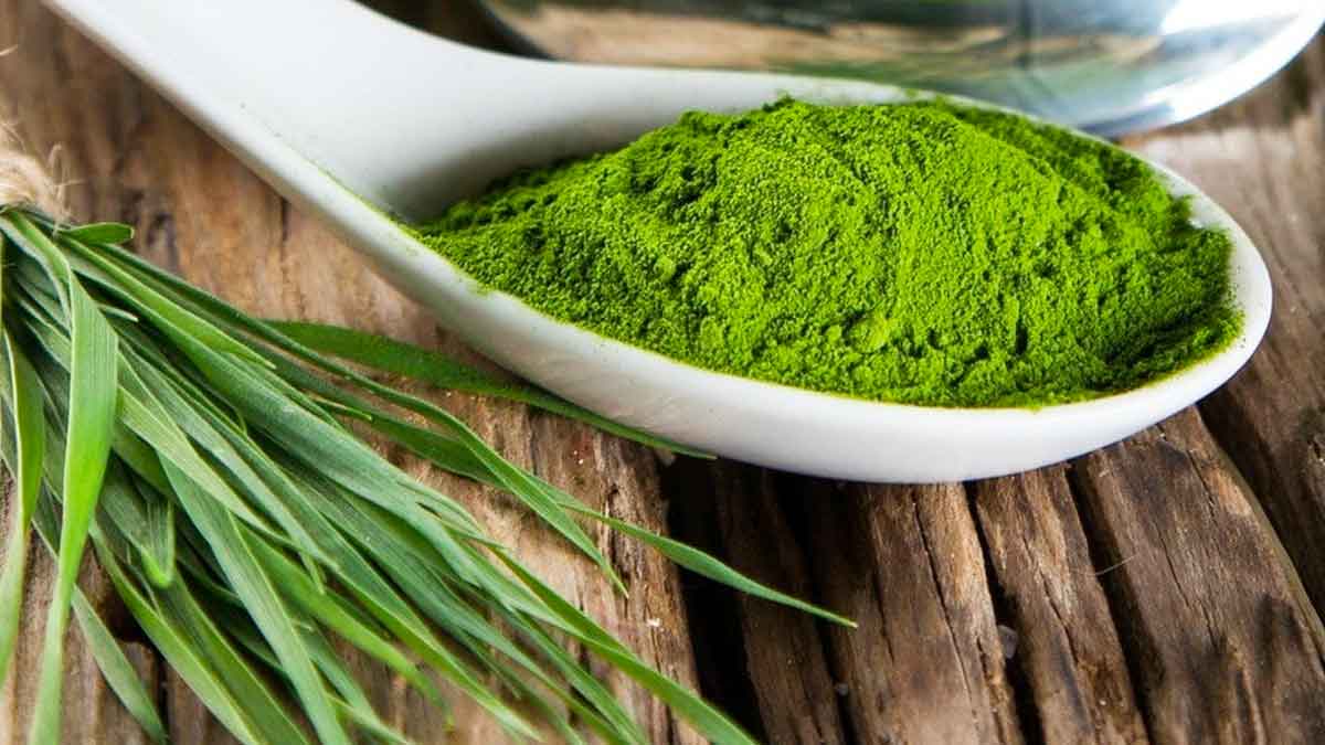 many wonderful health benefits of spirulina 