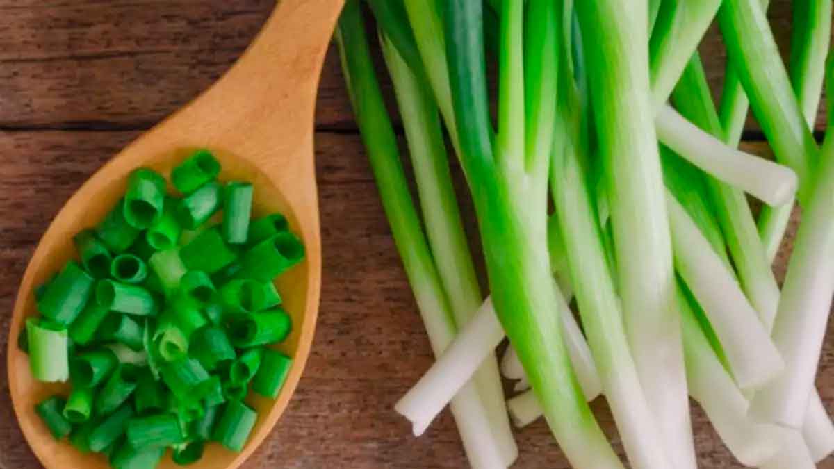 here it is how you can get benefits from spring onions 