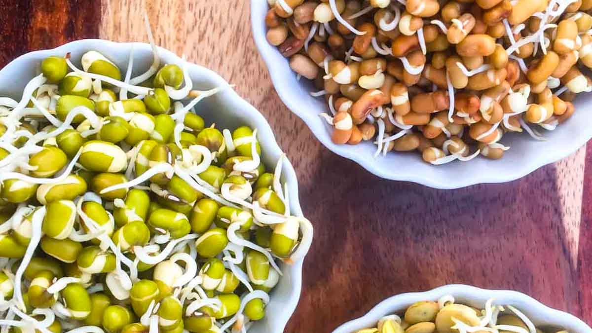 people with these health problems should not eat sprouts