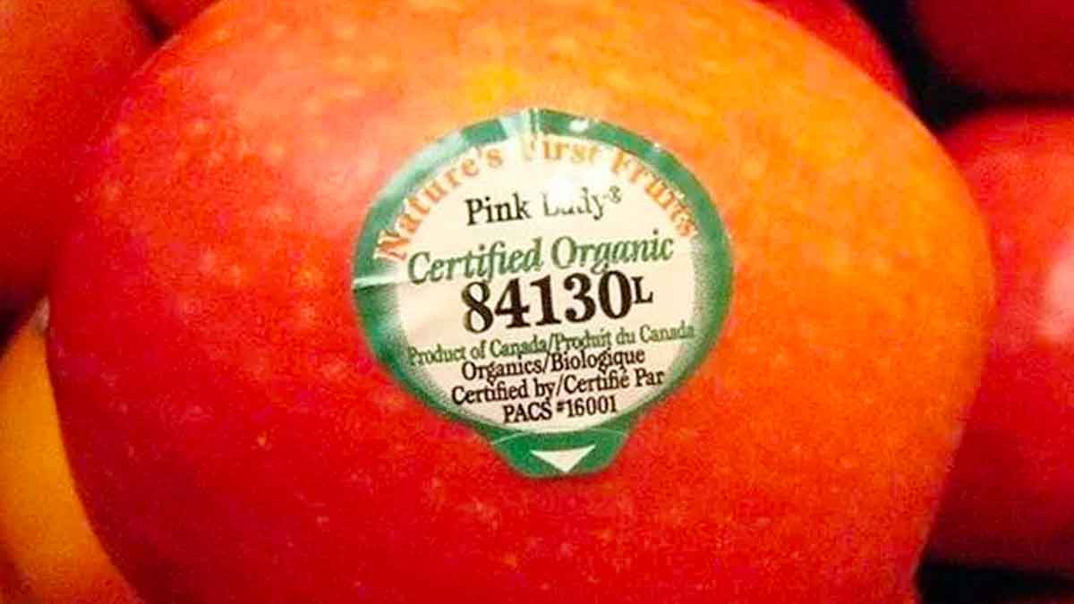 do you know why these stickers on fruits