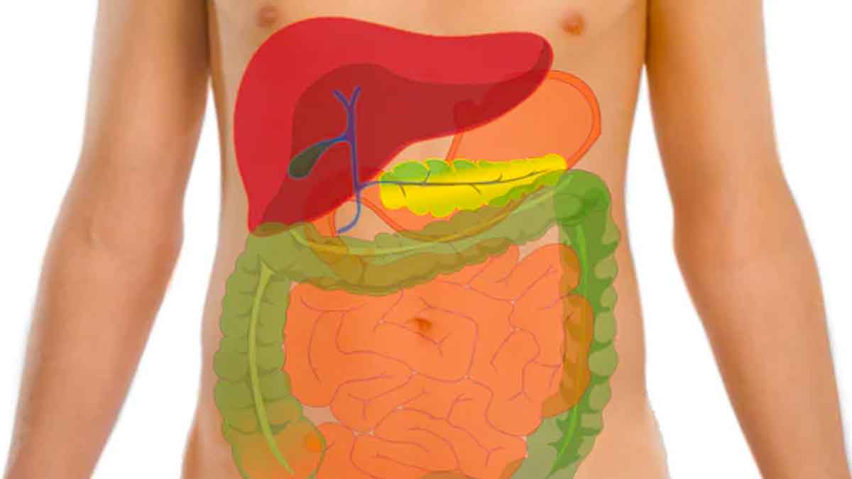 wonderful home remedies to remove stomach worms 