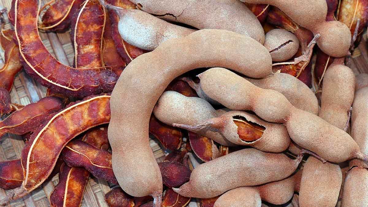 do you know these wonderful health benefits of tamarind 